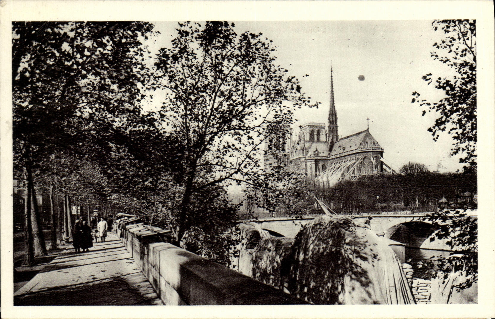 CPA Paris Les Quais Notre Dame