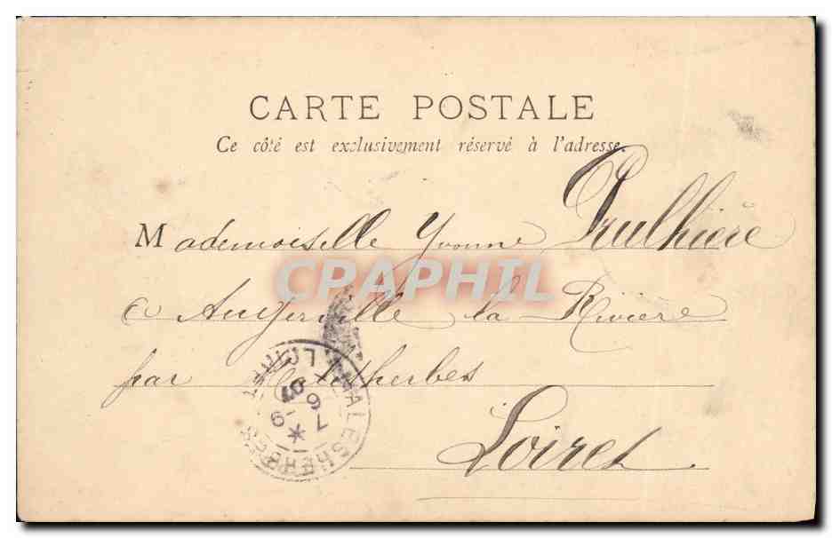 CPA Paris Cedres du Jardin des Plantes — Rückseite