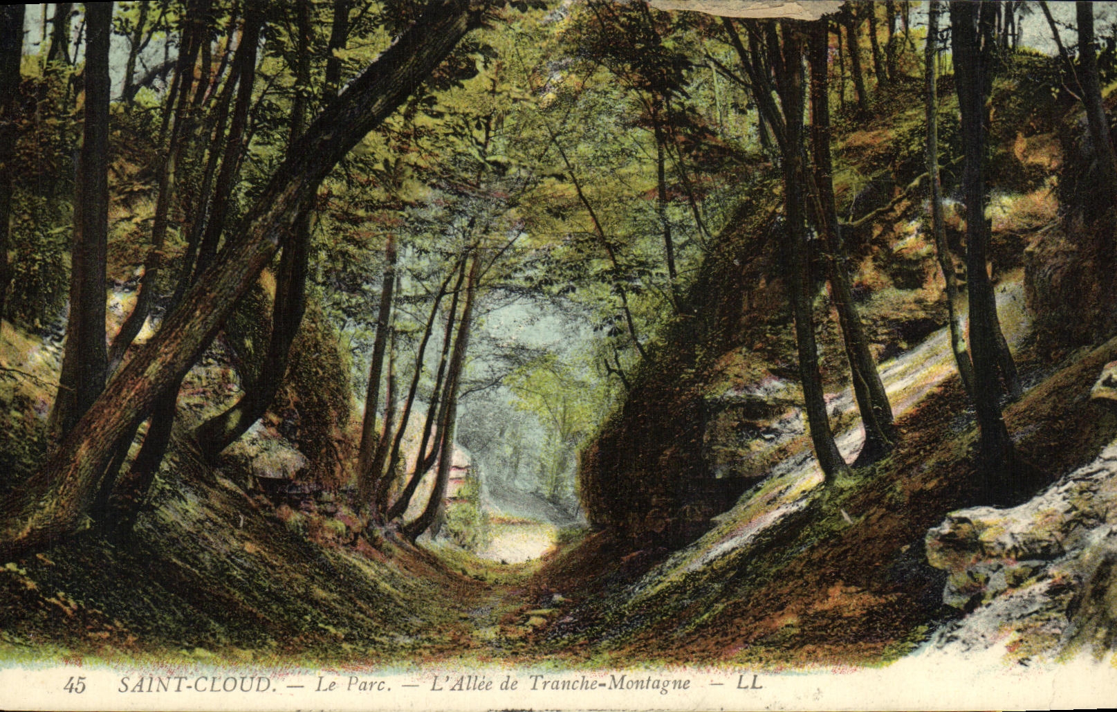 CPA Saint Cloud Le parc L Allee de Tranche Montagne