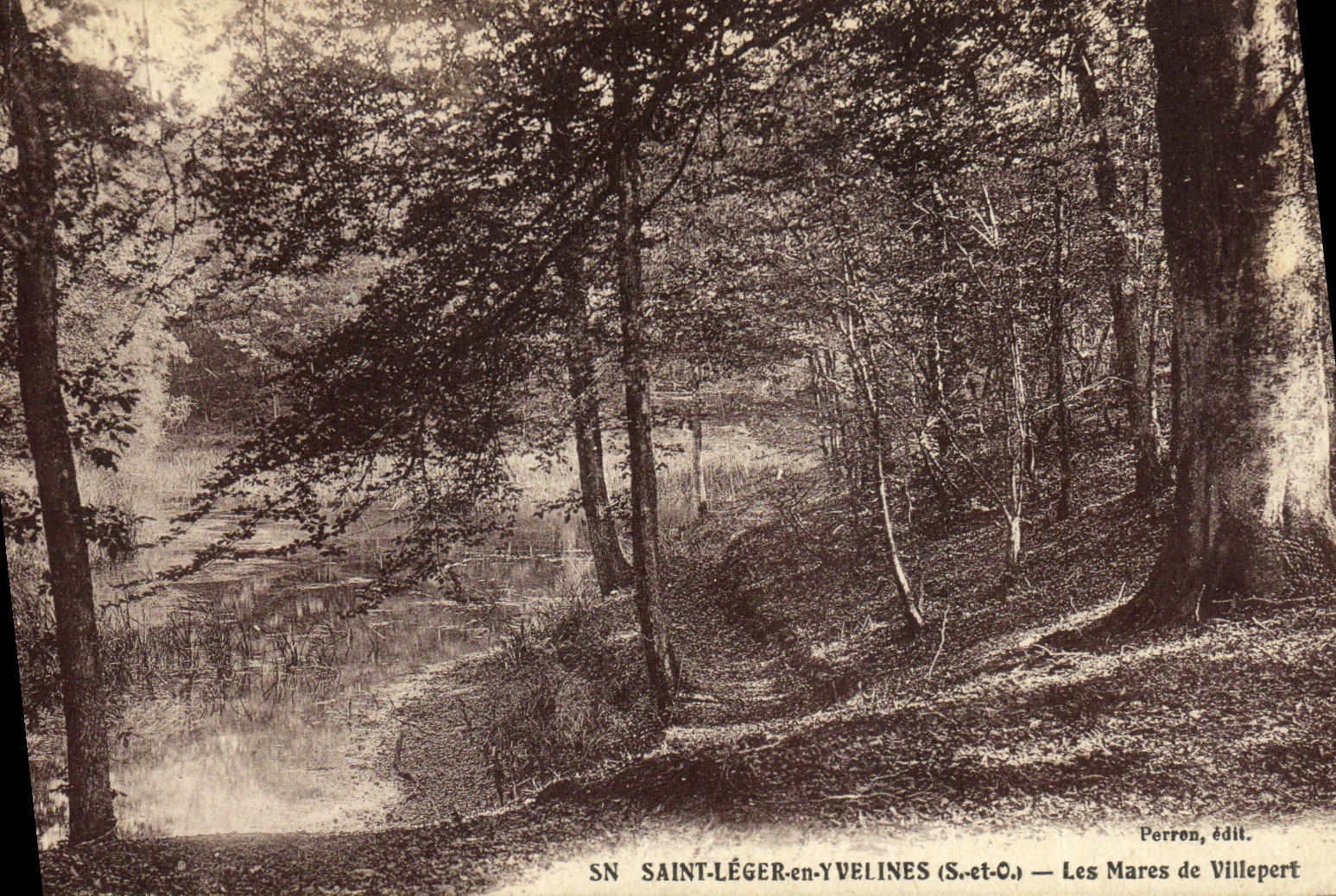 Saint-Léger-en-Yvelines (S.-et-O.) — Les Mares de Villepert — Perron, édit.