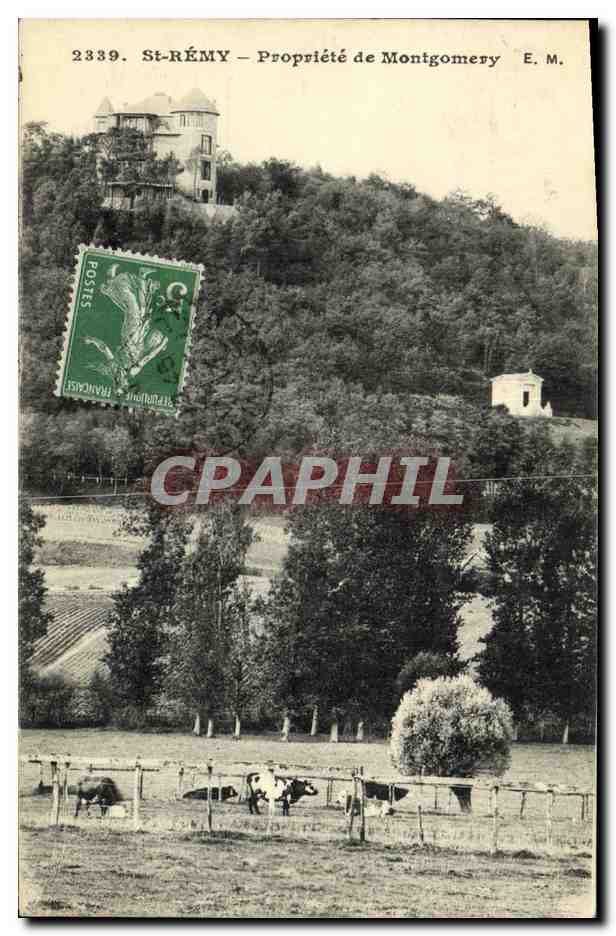 CPA Saint Remy Proprtete de Montgomery Vaches