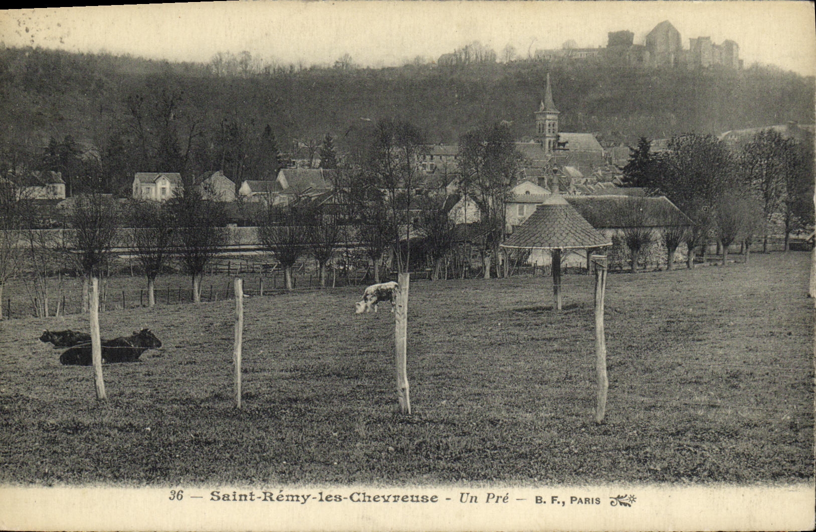 CPA St Remy Les Chevreuse Un pre Vaches