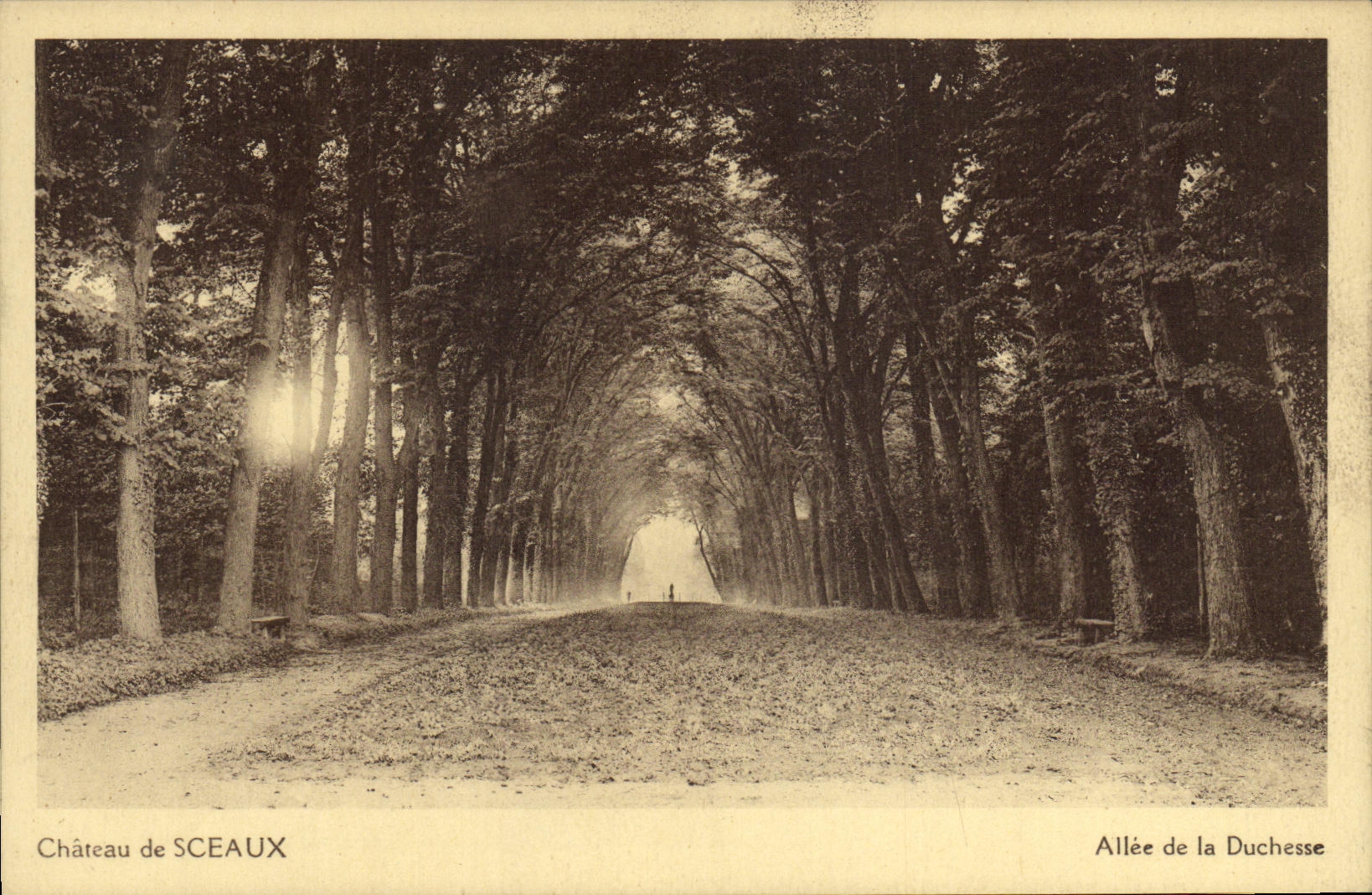 CPA Chateau de Sceaux Allee de la Duchesse