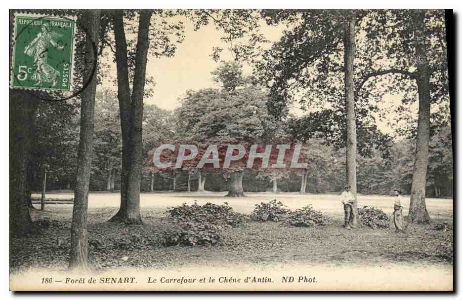 CPA Foret de Senart Le carrefour et le chene d Antin 