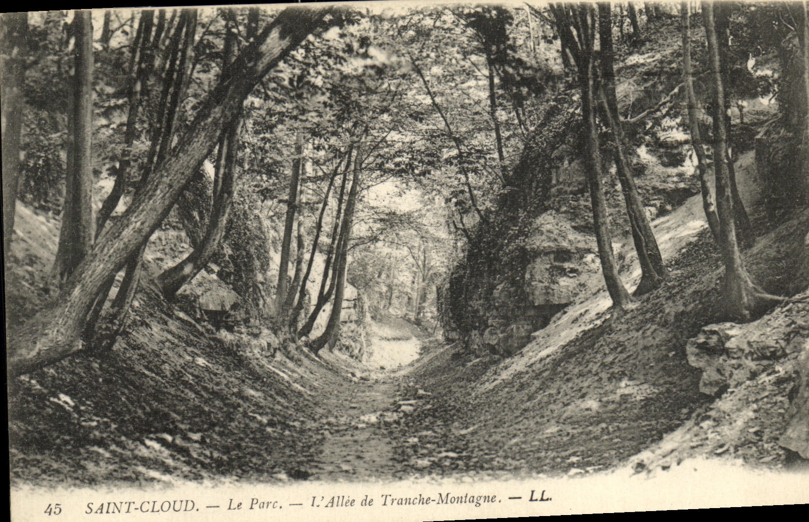 CPA Saint Cloud Le Parc L Allee de Tranche Montagne
