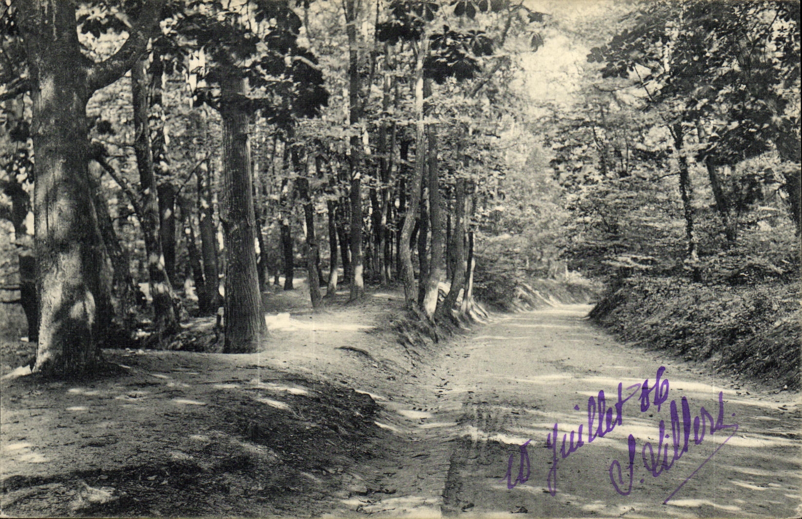 CPA Saint Cloud Parc de Allee de Marnes Route de la Porte blanche a la pelouse de Combleval de Marnes a Garche