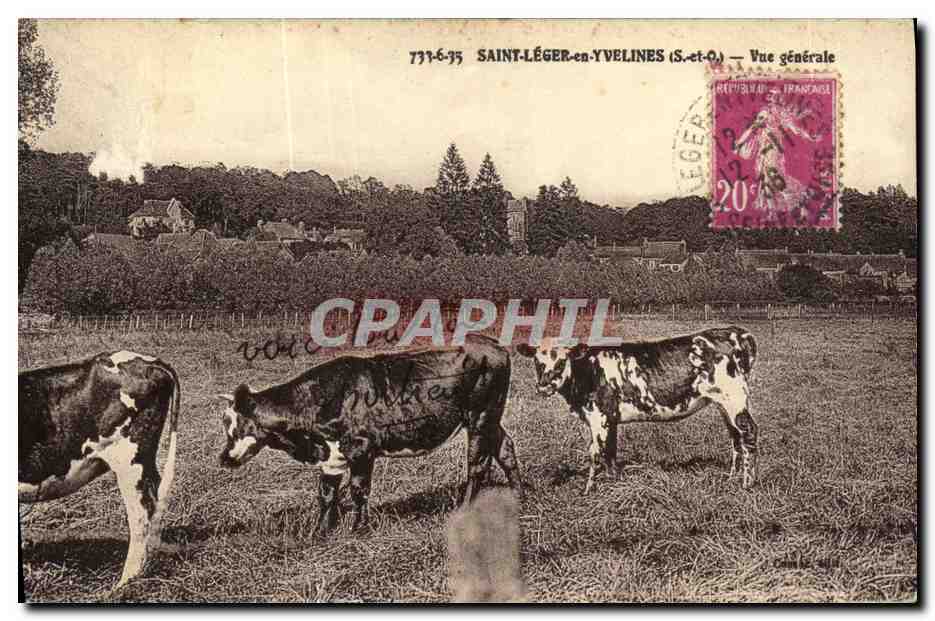 Saint-Léger-en-Yvelines (S.-et-O.) — General View — unidentified publisher, series number 779-675