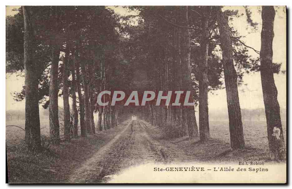CPA Ste Genevieve L Allee des Sapins