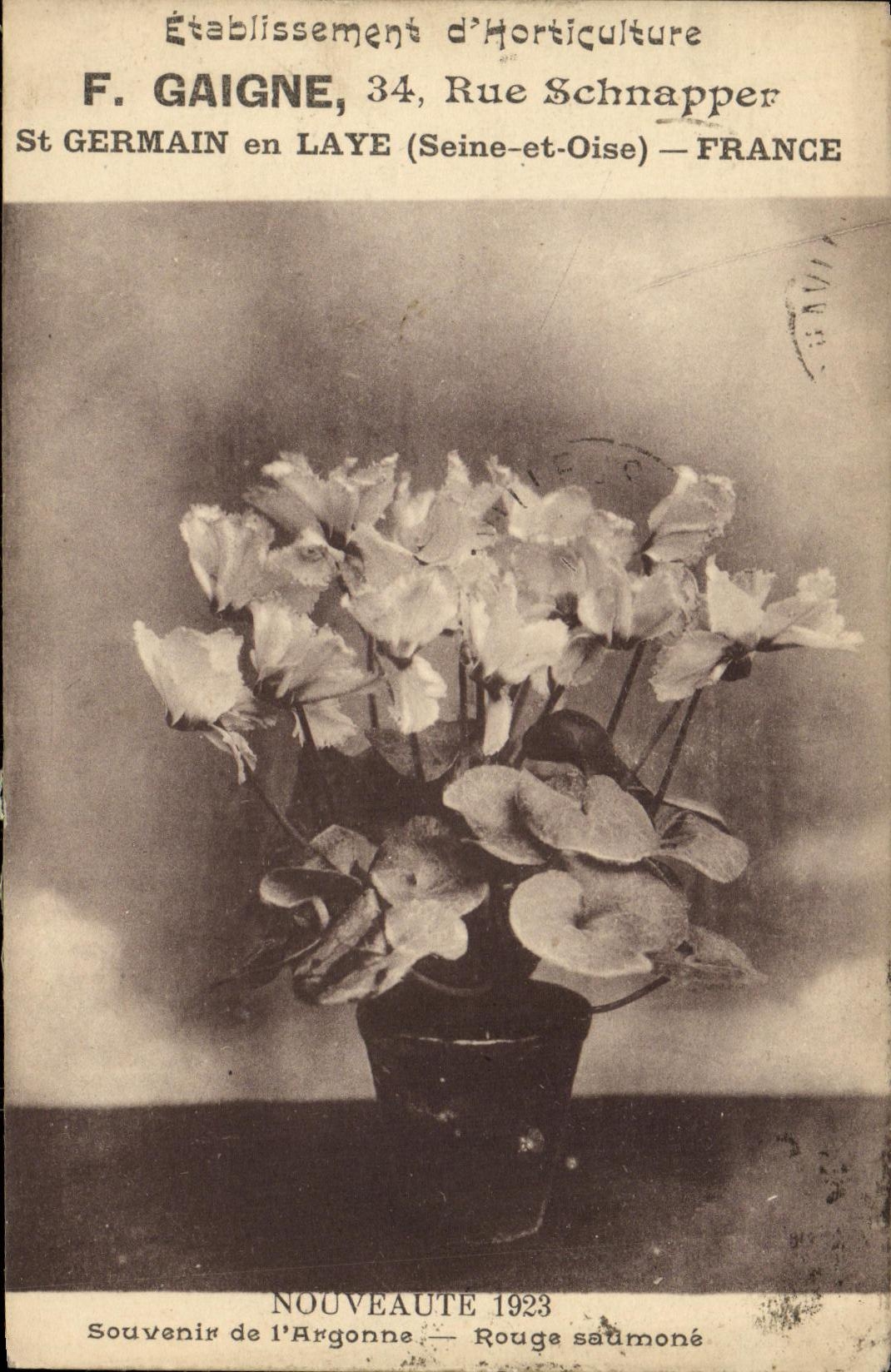 CPA Etablissement d horticulture Gaigne Rue Schnapper St Germain en Laye Souvenir de l ARgonne Rouge saumone Fleurs