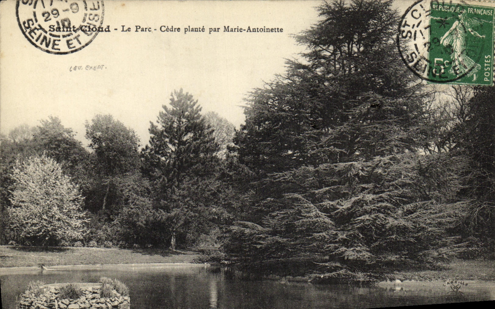 CPA Saint Cloud Le Parc Cedre Plante par Marie Antoinette