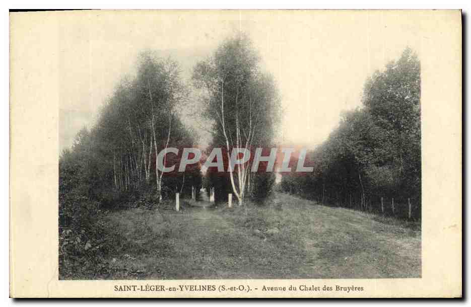 Saint-Léger-en-Yvelines (S.-et-O.) — Avenue du Chalet des Bruyères — éditeur non identifié