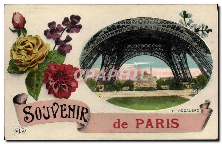 CPA Souvenir de Paris Tour Eiffel Le Trocadero Fleurs 