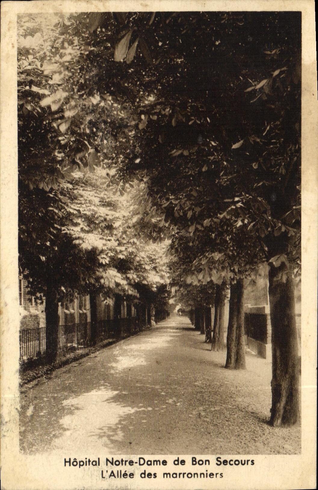 CPA Paris Hopital Notre Dame de Bon Secours L Allee des Marronniers