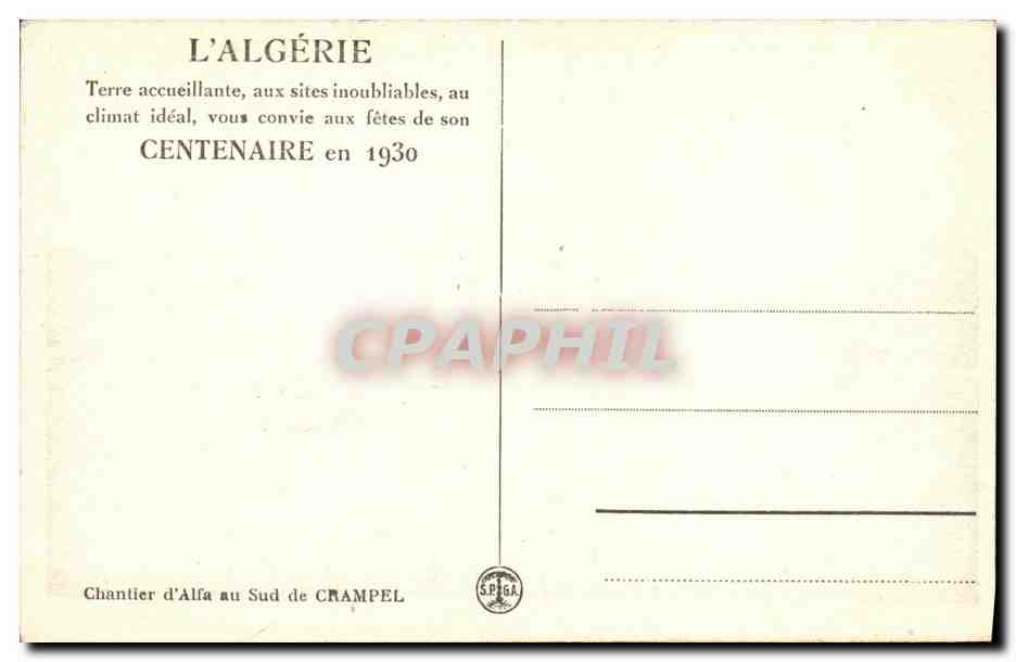 CPA Chantier d Alfa au sud de Champel Chameaux  — Rückseite