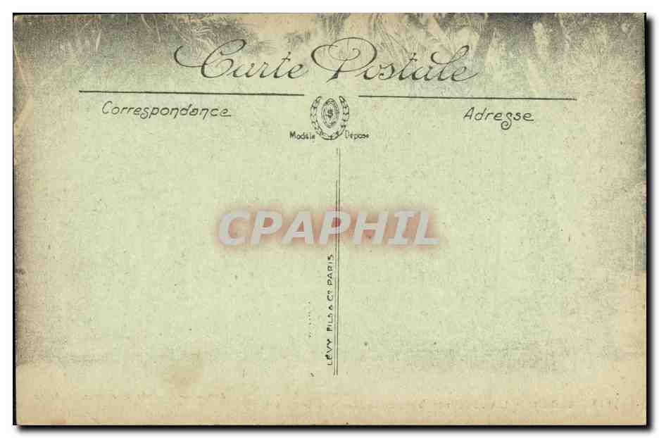Alger - L'Allée des Dracenas (Jardin d'Essai) — Édition des Galeries de France — n° 177 — Rückseite