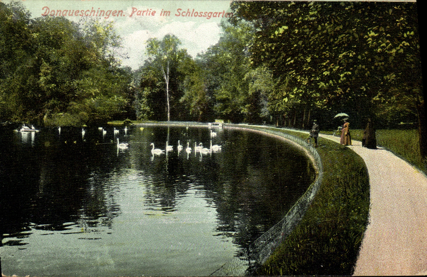 CPA Donaueschingen Partie im Schlossgarten Cygnes
