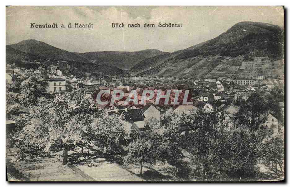 CPA Neustadt AD Haardt Blick nach dem Schontal