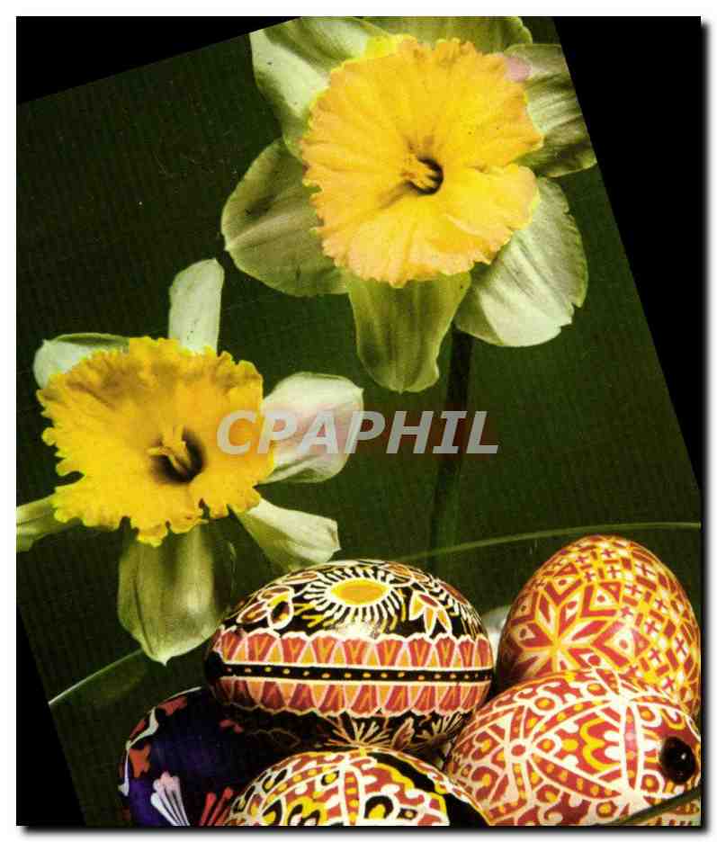 CPM Vesele velikonoce Oeufs Fleurs Tchequie
