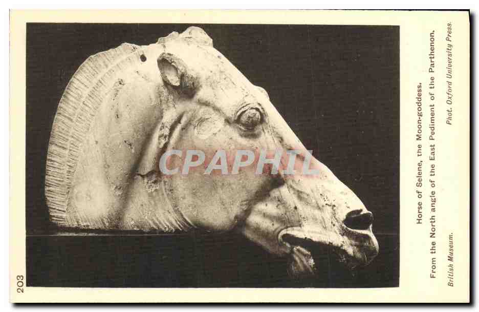 CPA Horse of Selene the Moon goodess From the North angle of the East Pediment of the Parthenon British Museum