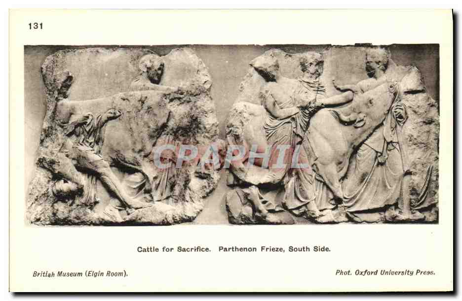 CPA Cattle for Sacrifice Parthenon Frieze South Side British Museum