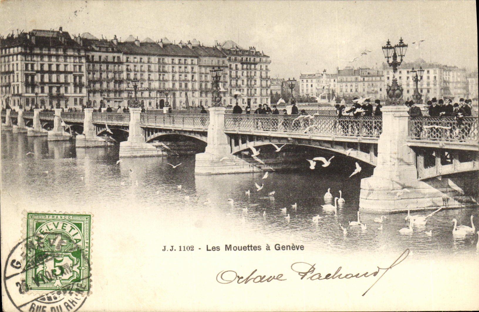CPA Geneve Les mouettes