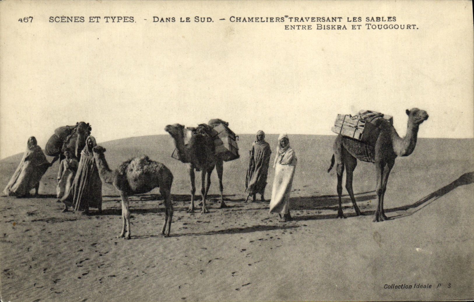 Chamelières traversant les sables — entre Biskra et Tougourt — Collection Idéale P.S. n°467