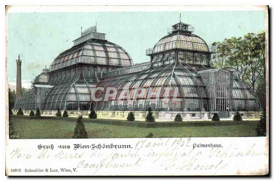 CPA Gruss aus Wien Schonbrunn Palmenhaus 