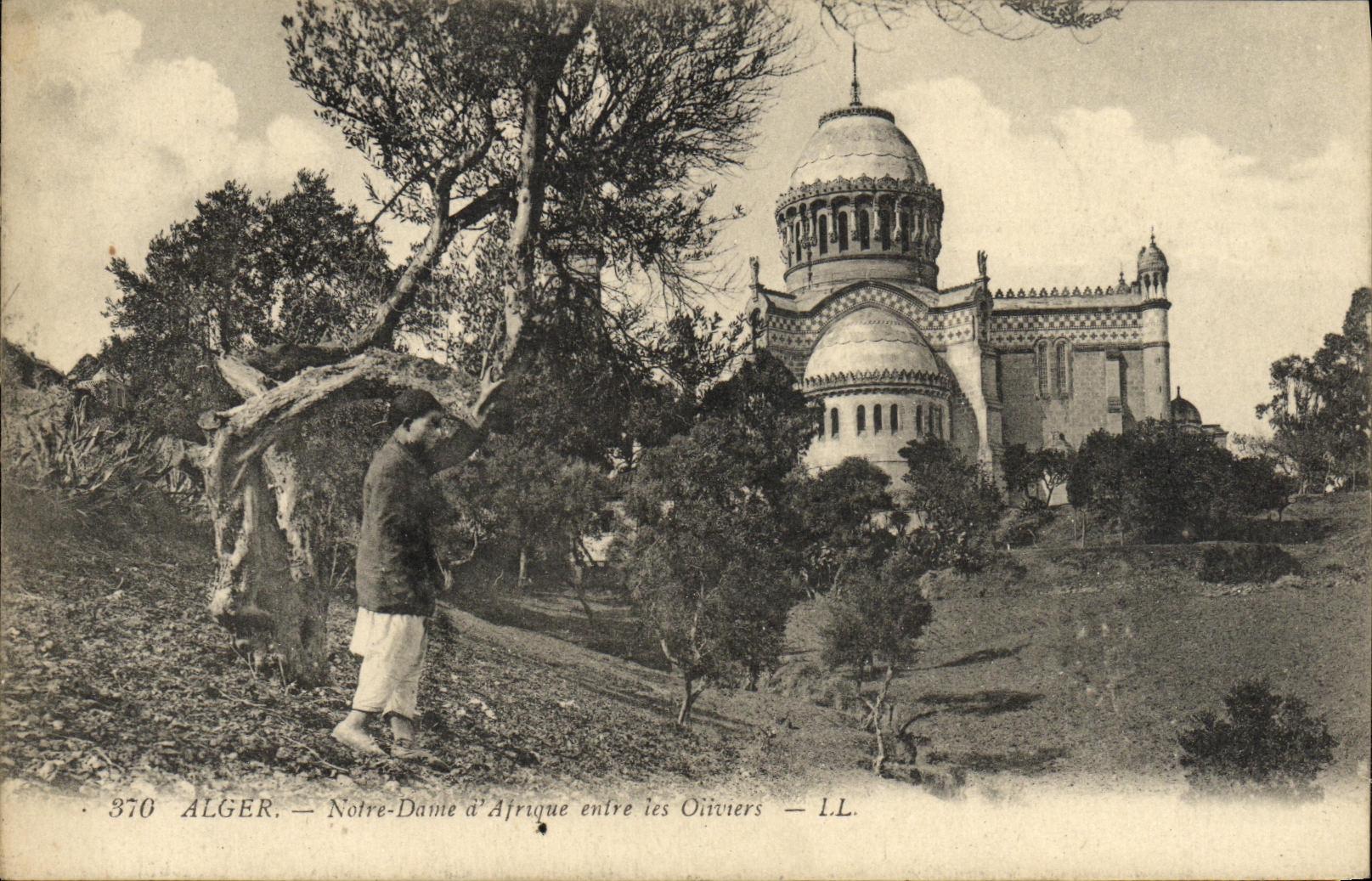 Alger — Notre-Dame d'Afrique entre les Oliviers — LL. n° 370
