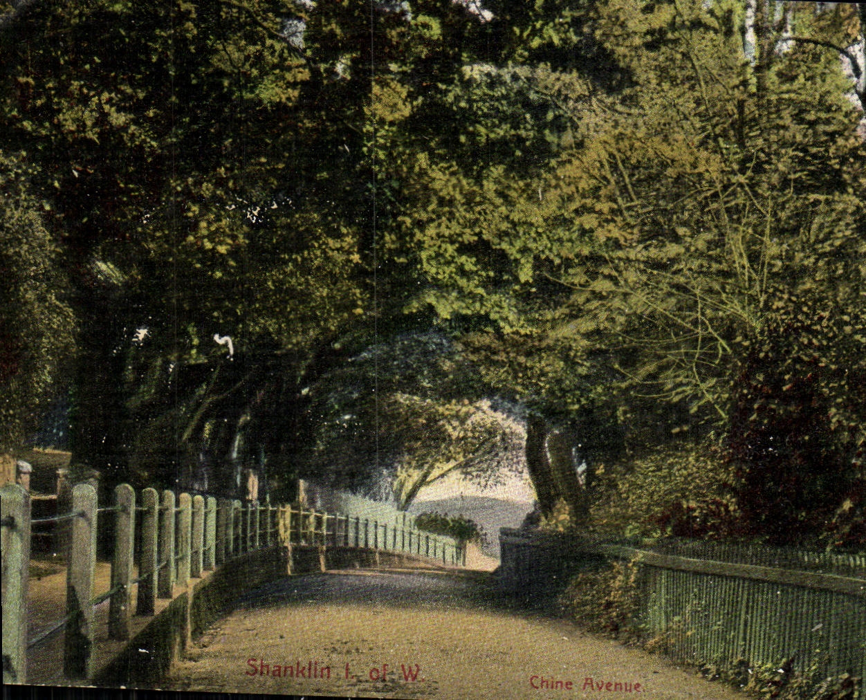 Chine Avenue — Shanklin, Isle of Wight — Victoria Post Card Series, n°2566