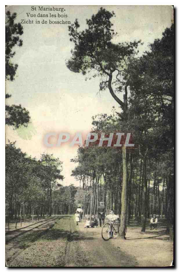 CPA St Mariaburg Vue Dans les Bois 