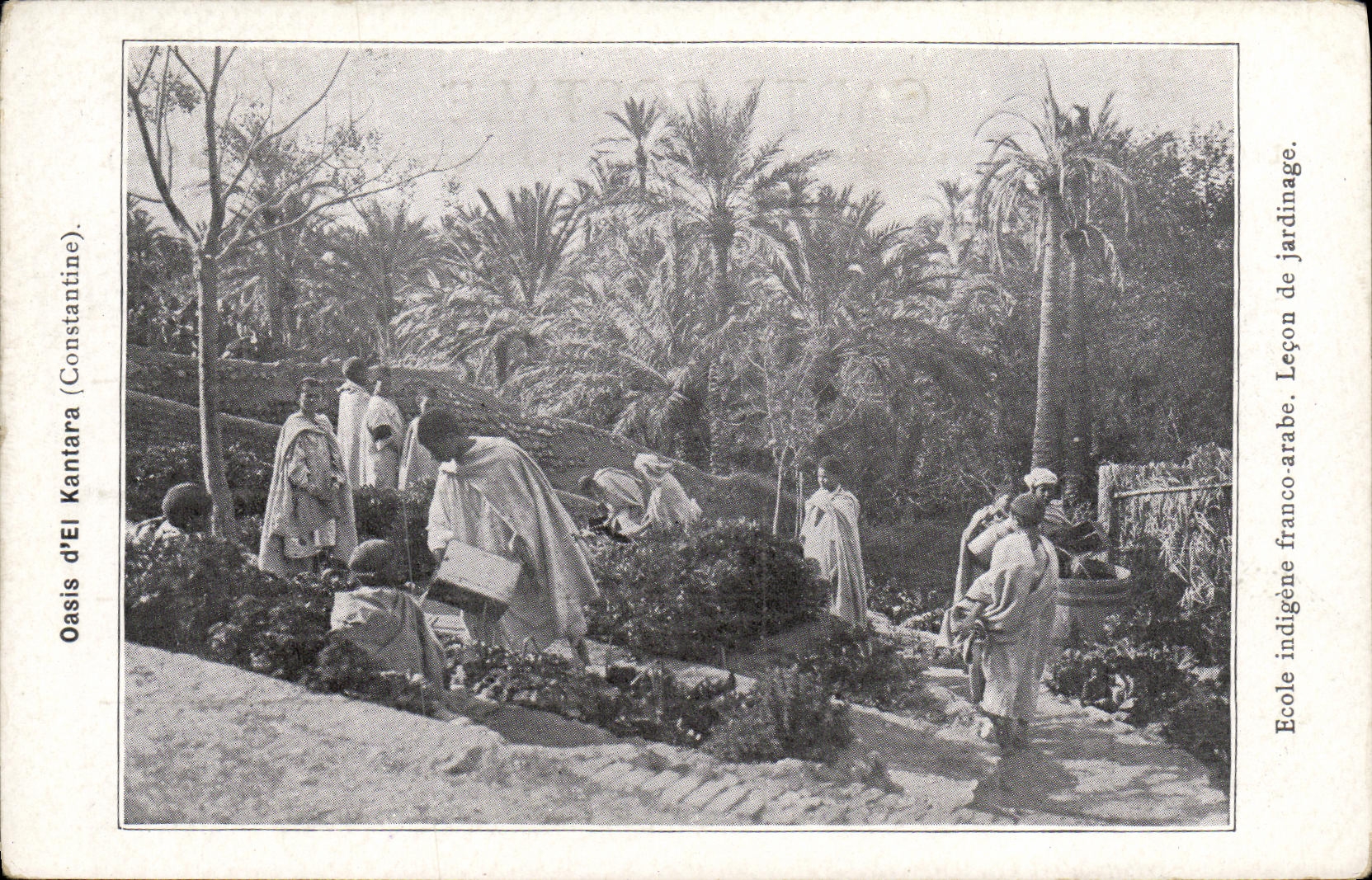 CPA Oasis d El Kantara Constantine Ecole indigene franco arabe Lecon de jardinage 
