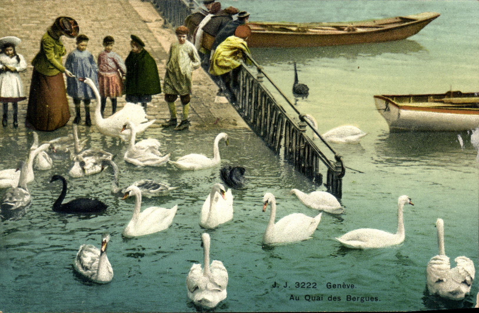 CPA Geneve Au Quai des Bergues Cygnes 