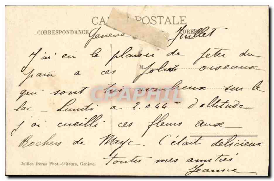 CPA Geneve Au Quai des Bergues Cygnes  — Rückseite