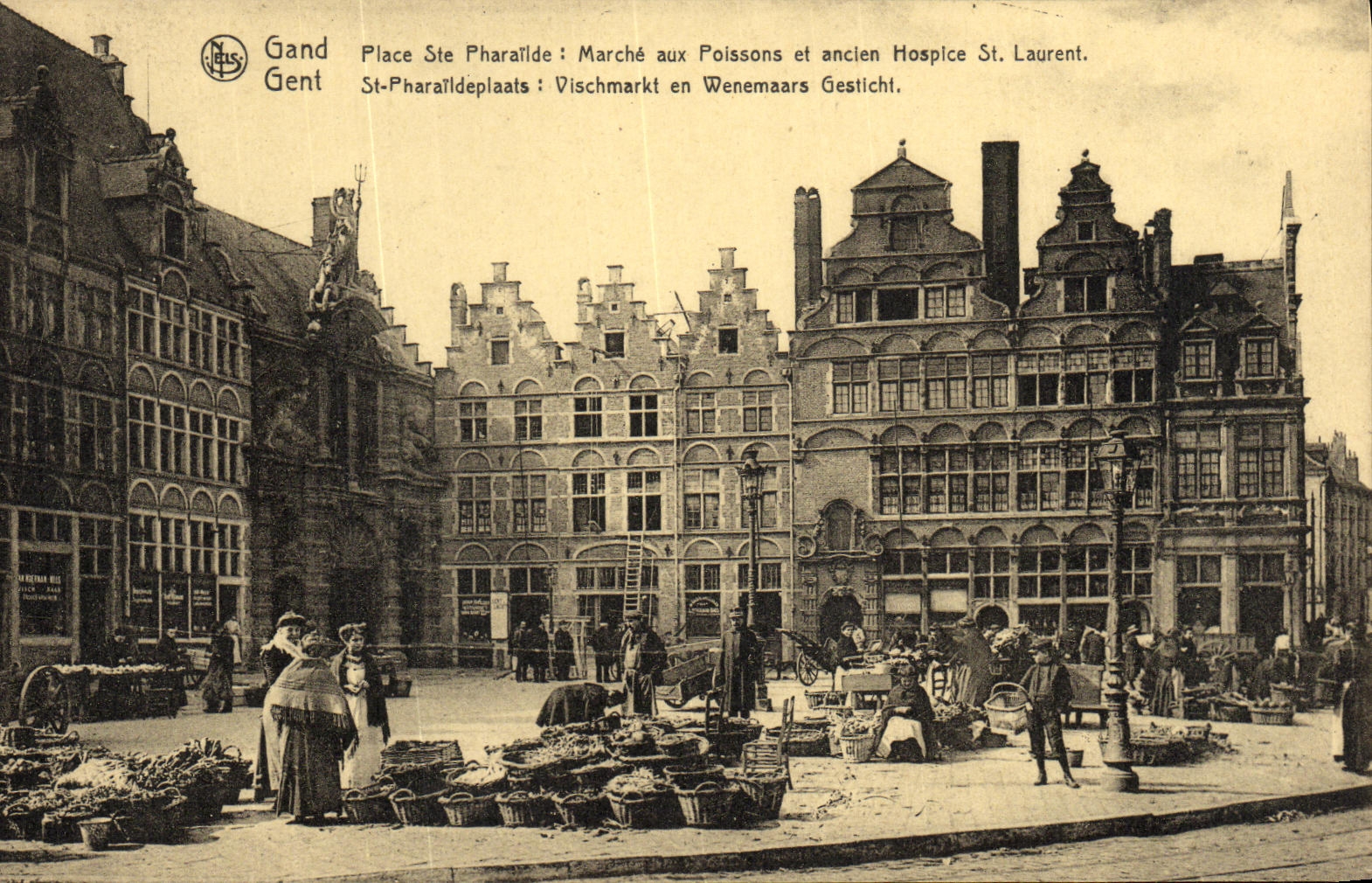 CPA Gand Place Ste Pharalide Marche aux poissons et ancien hopital St Laurent 