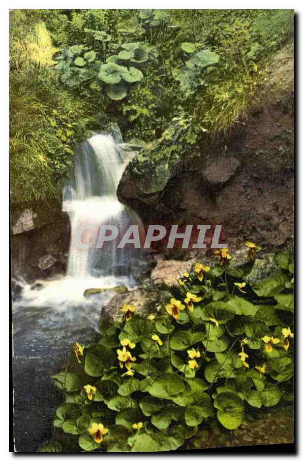 CPA Aus Rubezahls Garten