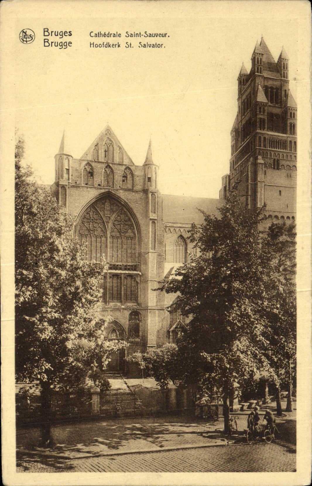 CPA Bruges Cathedrale Saint Sauveur