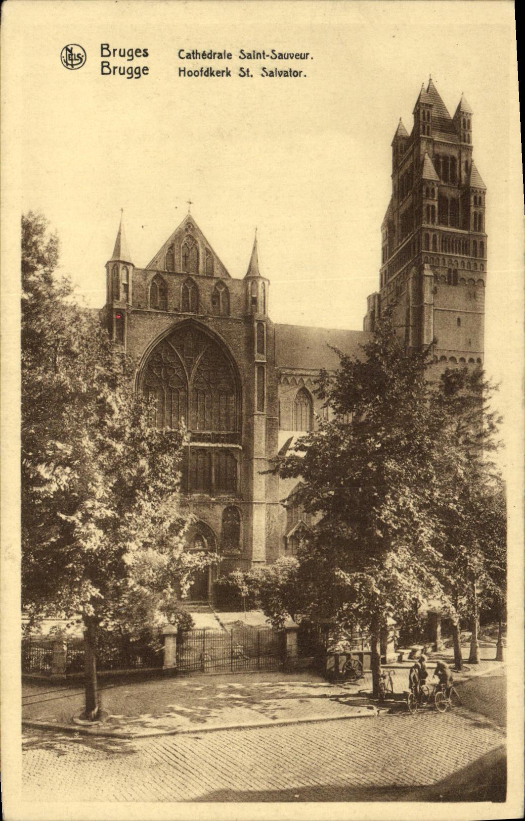 CPA Bruges Cathedrale Saint Sauveur