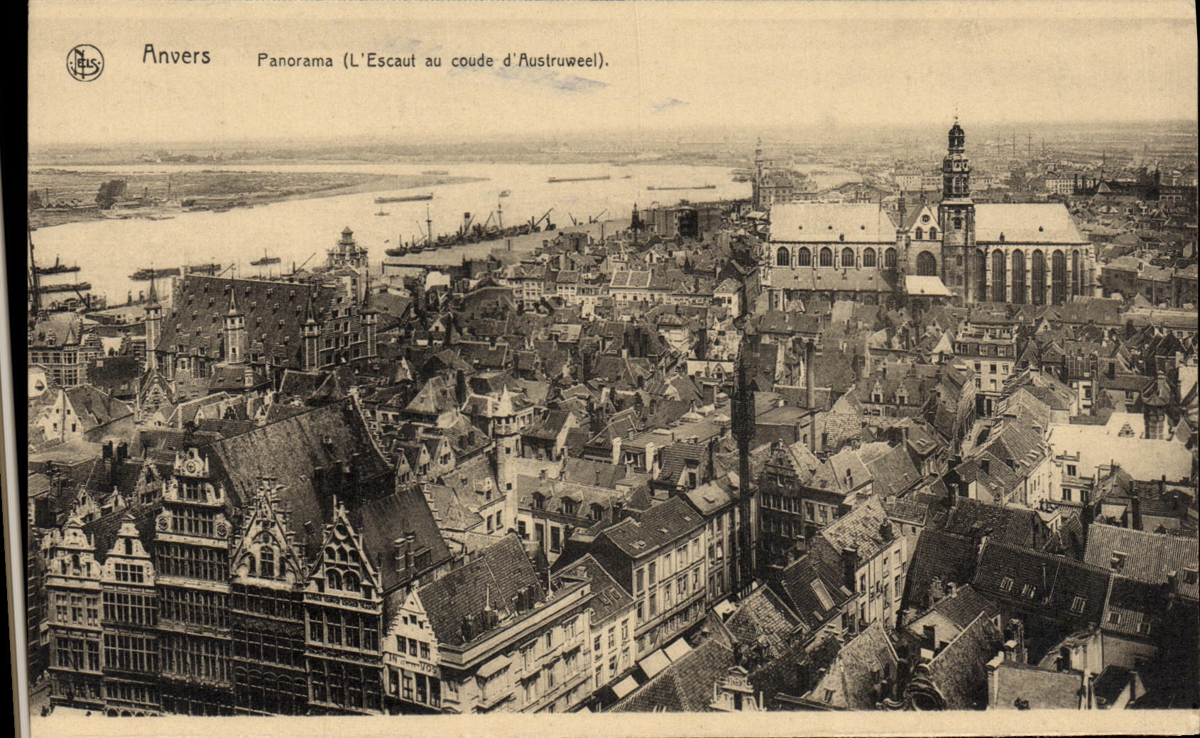 CPA Anvers Panorama l Escaut au coude d Austruweel