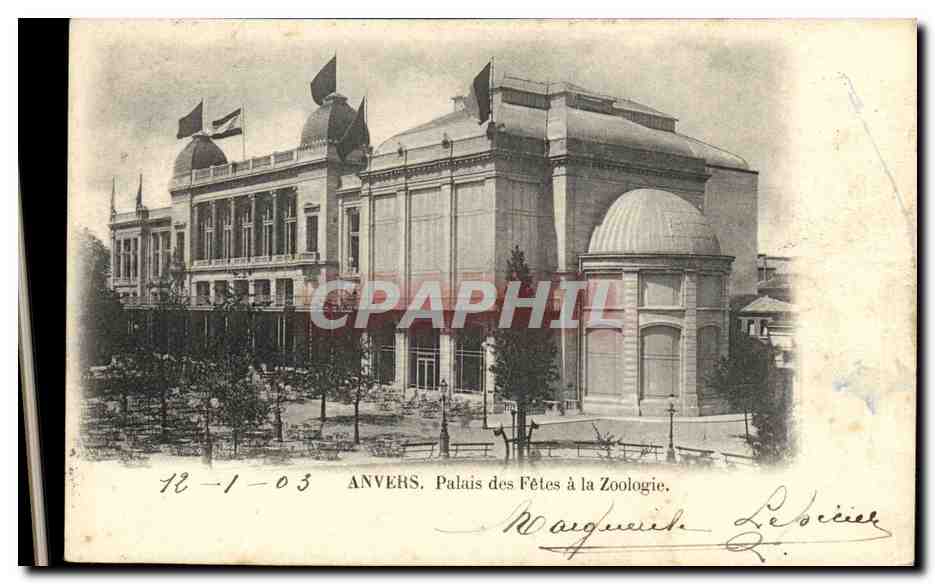 CPA Anvers Palais des Fetes a la Zoologie Zoo