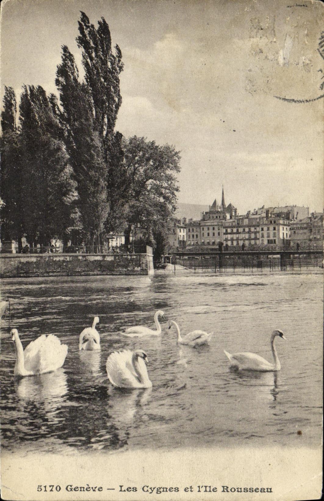 CPA Geneve Les cygnes et l ile Rousseau Cygnes