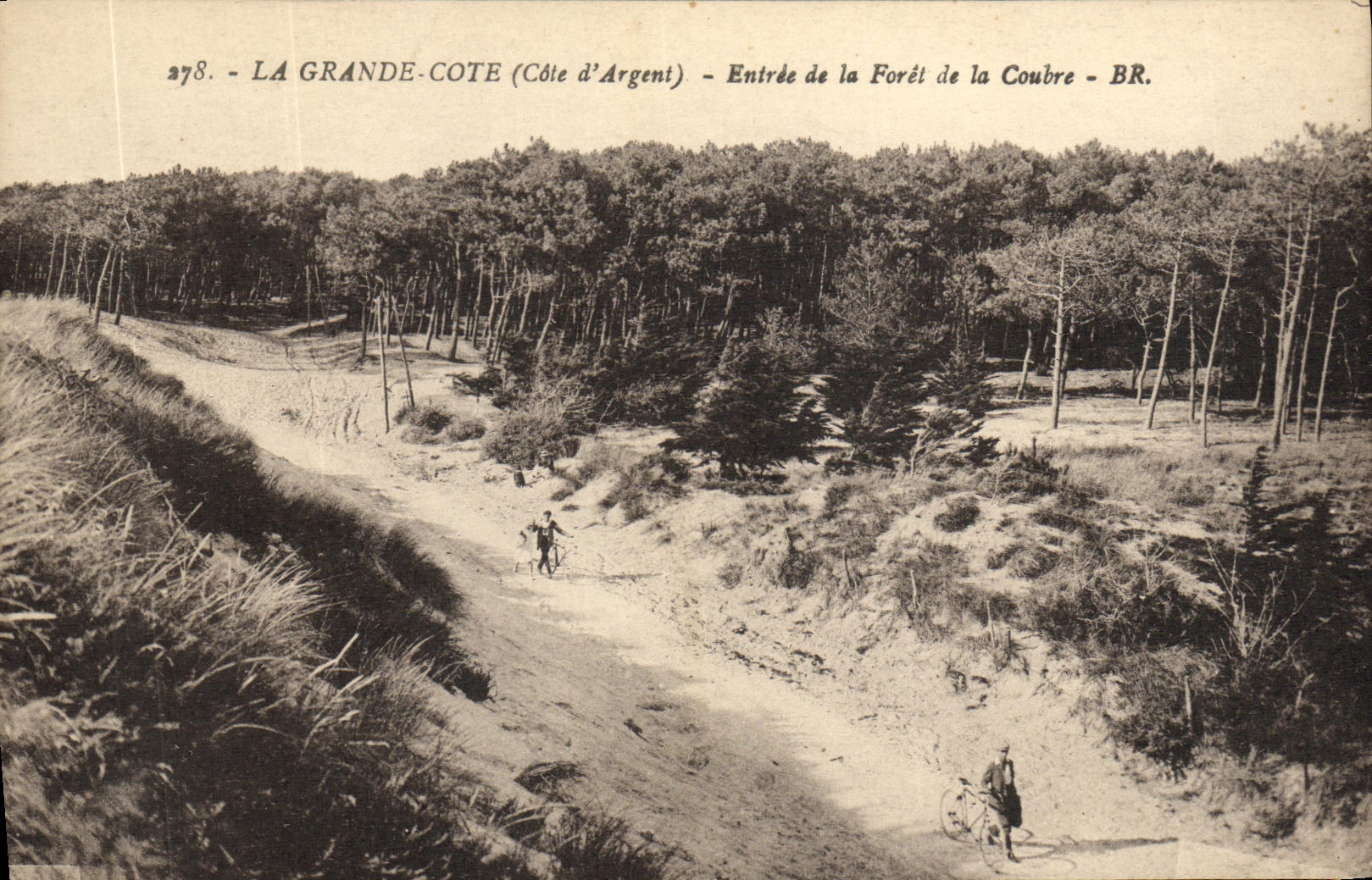 CPA La Grande Cote Entree de la Foret de la Coubre Velo Cycle 