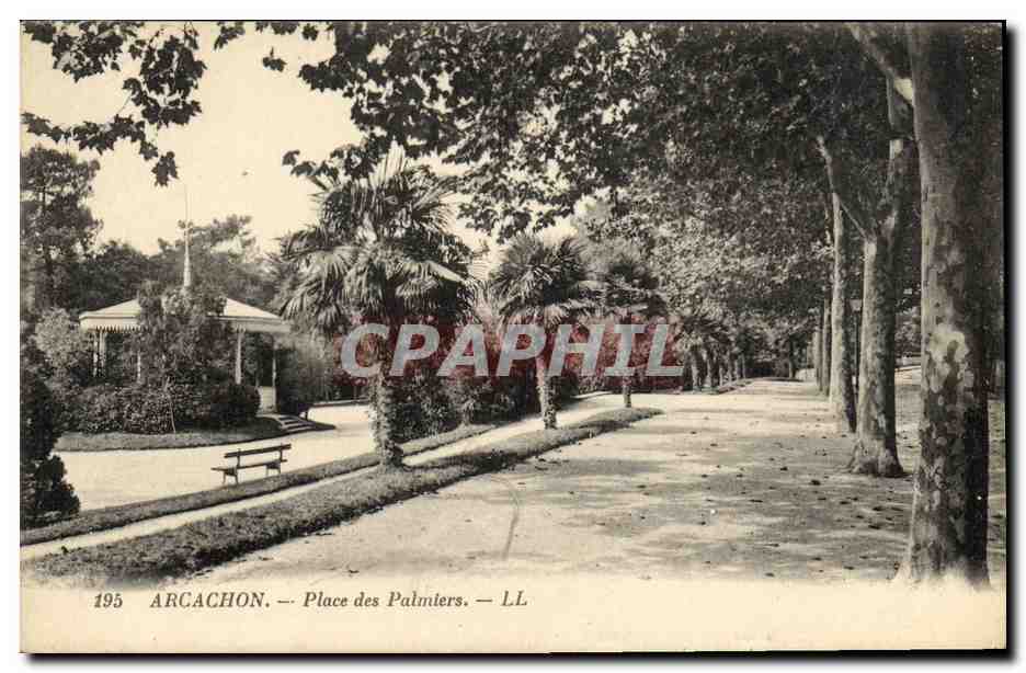 Arcachon — Place des Palmiers — LL, n°195