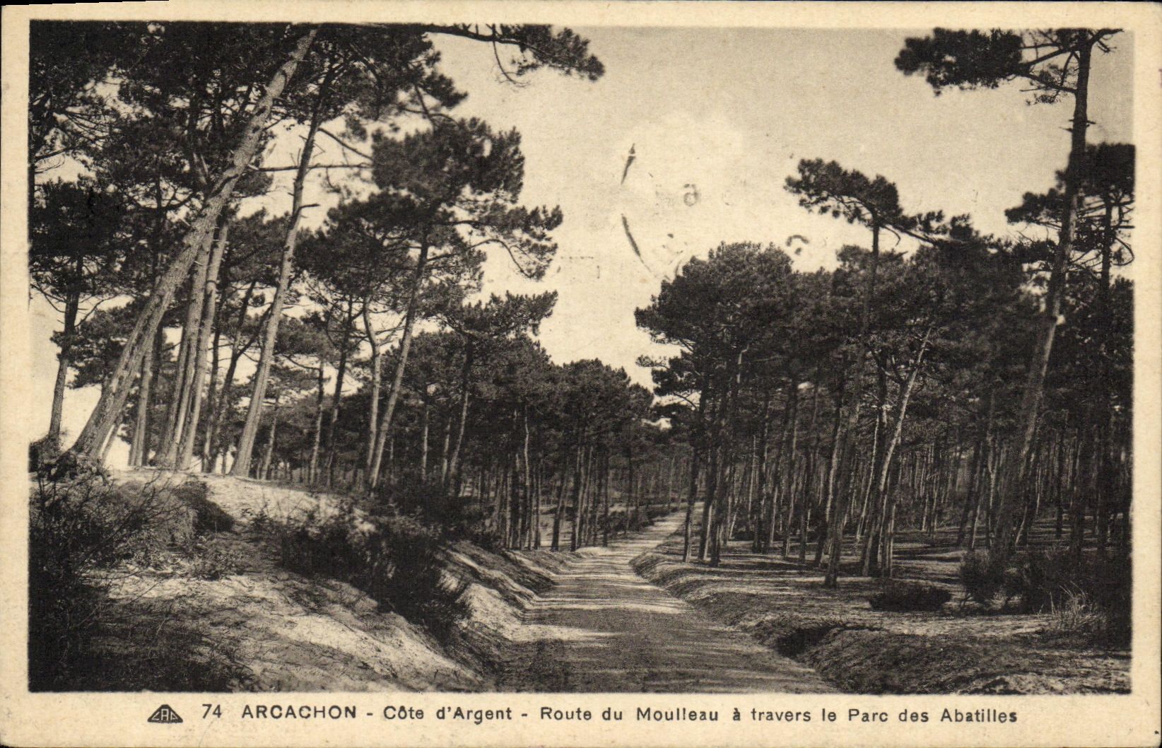 Arcachon - Côte d'Argent - Route du Moulleau à travers le Parc des Abatilles
