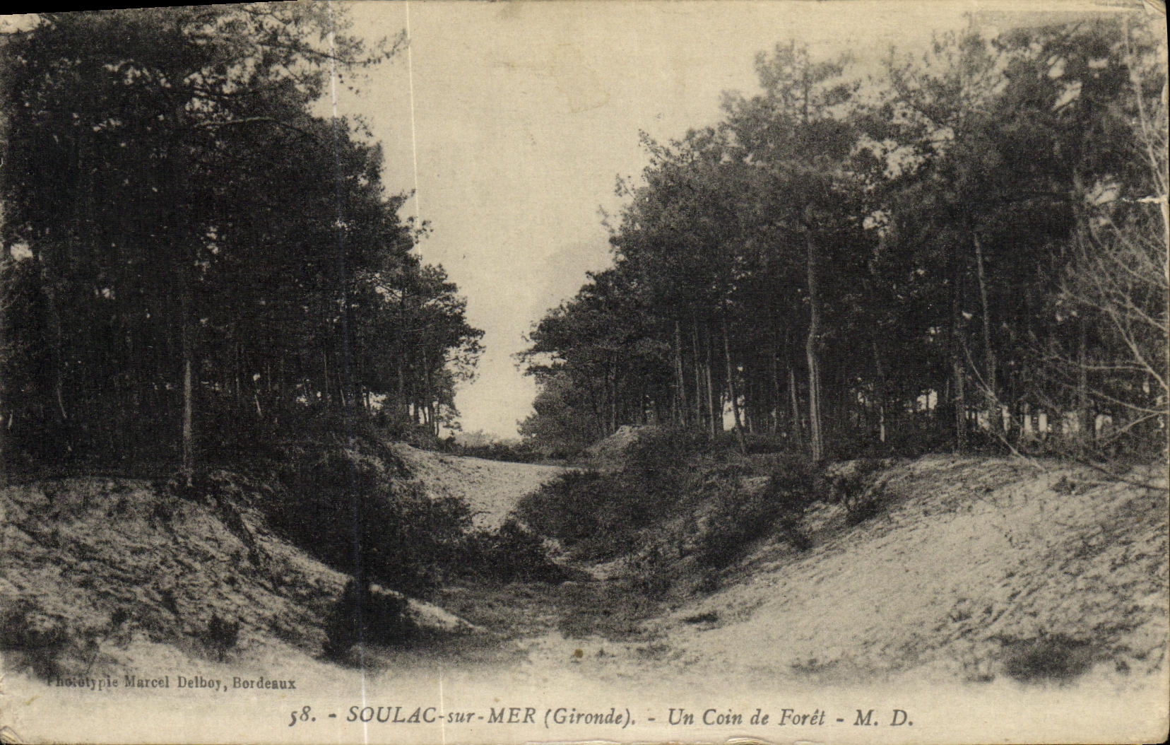 SOULAC-sur-MER (Gironde) — Un Coin de Forêt — Phototype Marcel Delbroy, Bordeaux, n°58