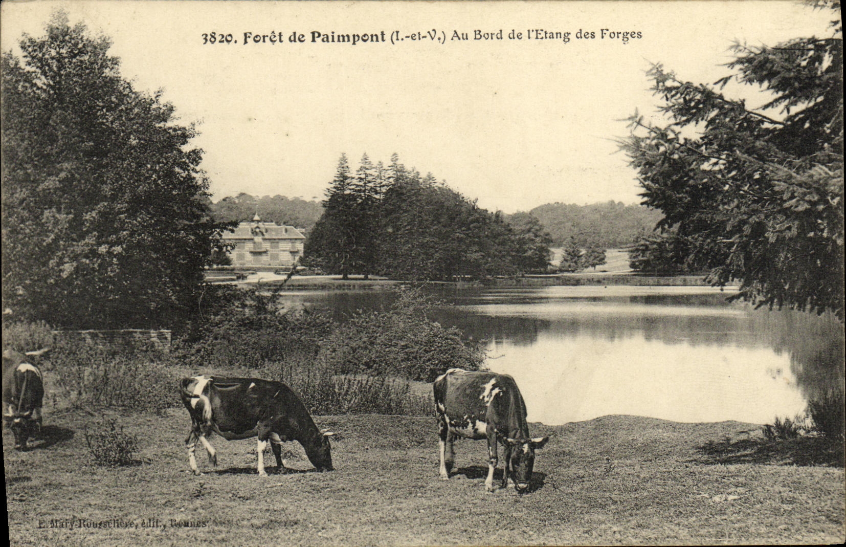 CPA Foret de Paimpont Au Bord de l Etang des Forges Vaches