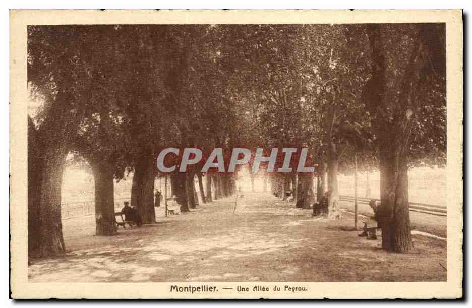 CPA Montpellier Une Allee du Peyrou
