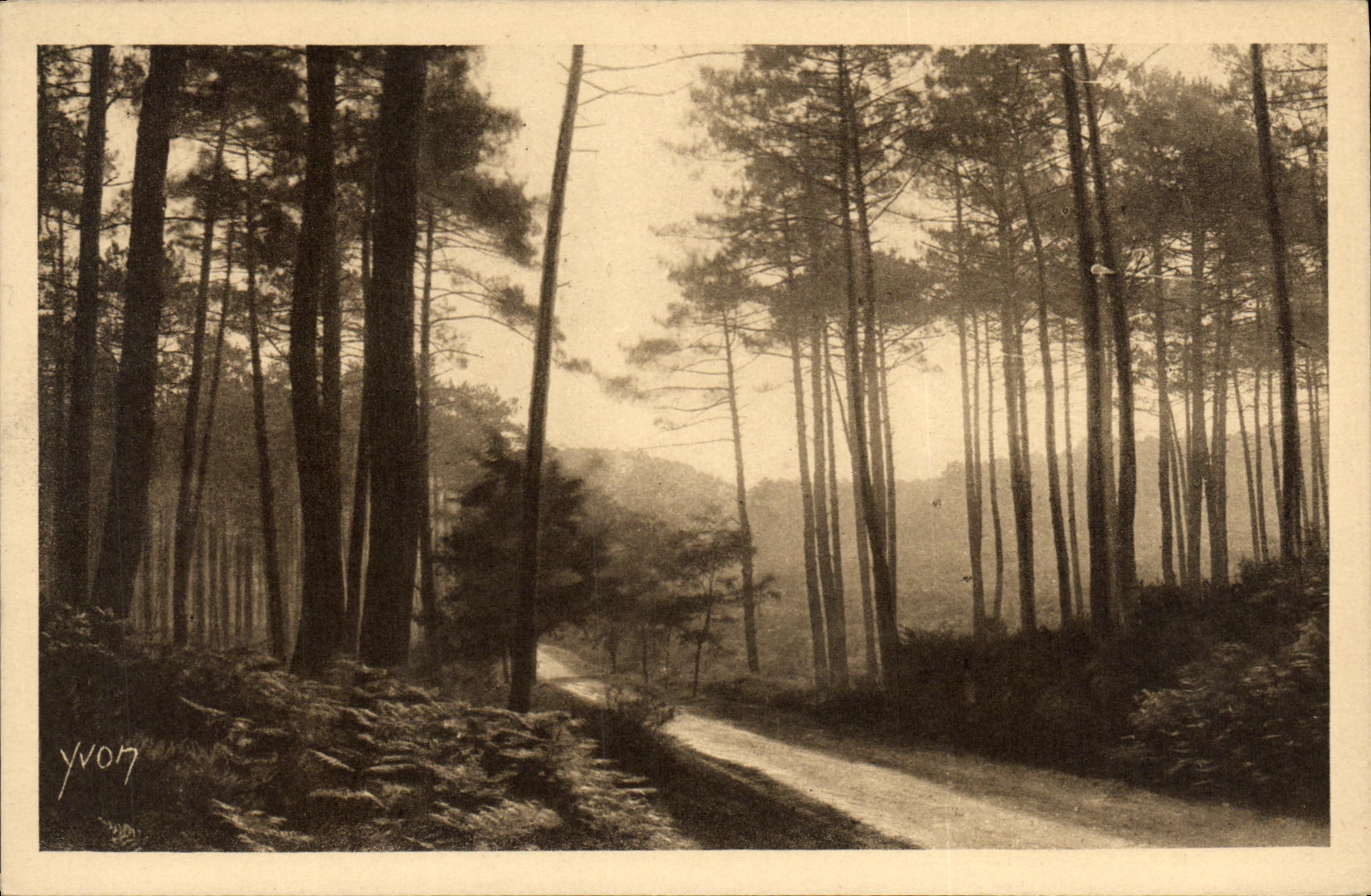Les Landes de Gascogne — Route de Léon à Moliet — Édition d'Art YVON, Neuilly Paris