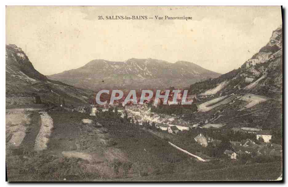 CPA Salins les Bains Vue Panoramique