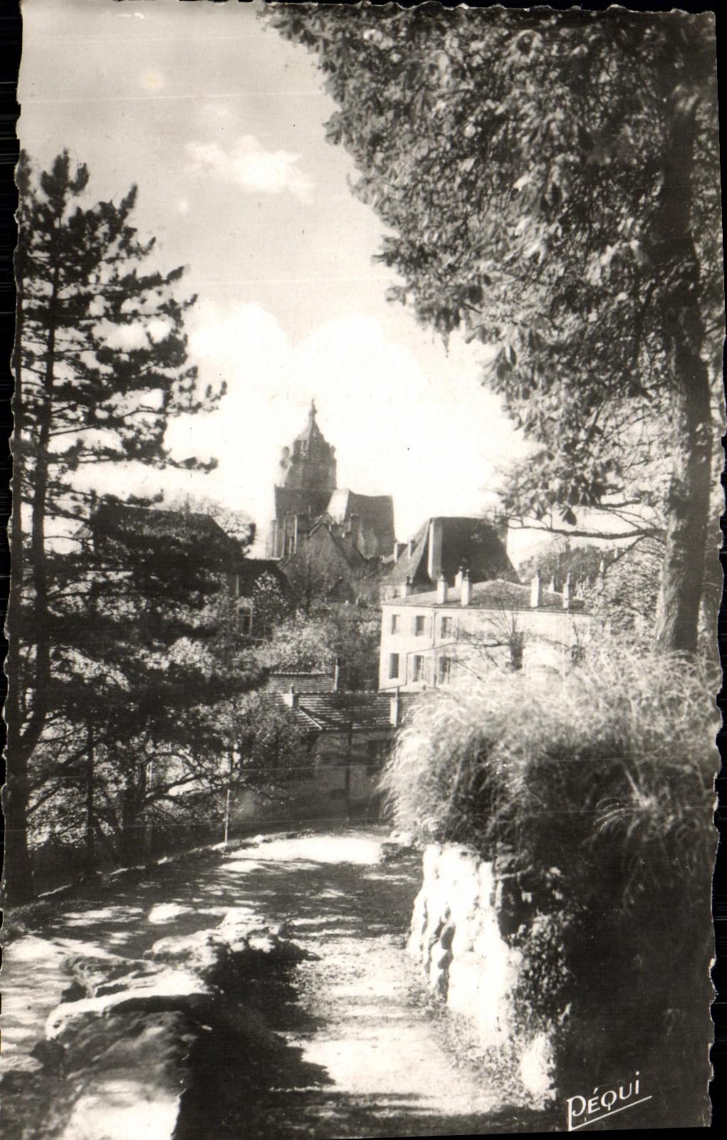 CPM Dole La Collegiale Vue du Cours Saint Mauris