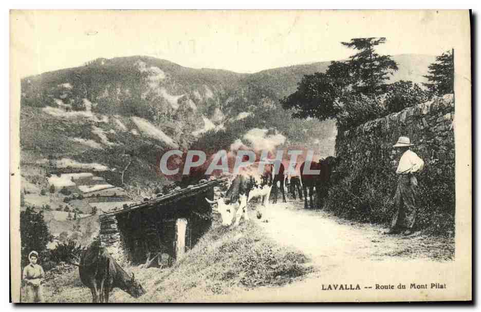 CPA Lavalla Route du Mont Pilat Vaches